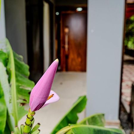 Cloud Forest House Monteverdes Екстер'єр фото