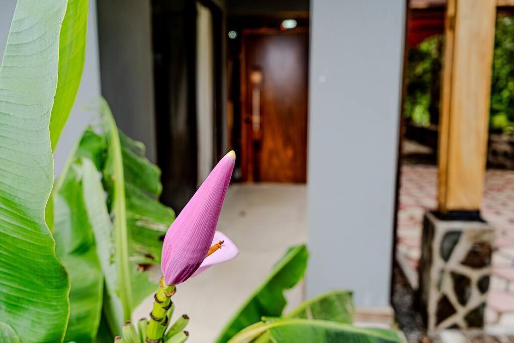 Cloud Forest House Monteverdes Екстер'єр фото